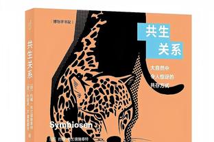 会积极招募老詹回归？浓眉：肯定 我们很互补 今夏都会和他在一起